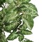 38" Artificial Nepthythis Hanging Bush, 6-Pack - 196 Lifelike Silk Leaves, Indoor/Outdoor Use, Home & Office Decor - Year-Round Greenery, Floral Home by Artificial Flowers